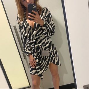 zara zebra dress